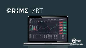 Comprehensive Insight into the PrimeXBT Team Overview Comprehensive Insight into the PrimeXBT Team Overview